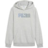 SUDADERA GRIS PUMA ALGODÓN PERCHADO ( INVIERNO)