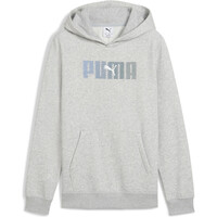 SUDADERA GRIS PUMA ALGODÓN PERCHADO ( INVIERNO)